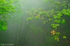 煙雨霏霏不肯收，氤氳掃盡復(fù)登樓