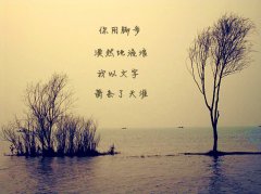 描寫心情平靜的詩(shī)句