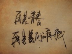 關(guān)于再見(jiàn)青春的優(yōu)美句子