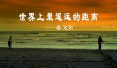 泰戈?duì)柦?jīng)典唯美句子