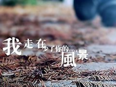 關(guān)于距離的傷感說說