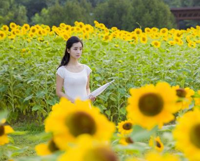 贊美姐妹親情的優(yōu)美句子