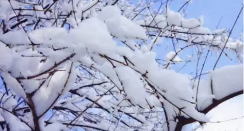 下雪的說說心情短語