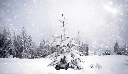 形容下雪的句子