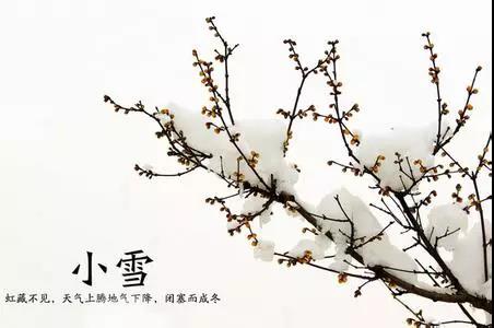 小雪節(jié)氣諺語