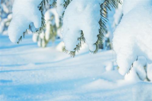 關(guān)于下雪很開心的句子