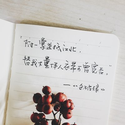 冬日表白情話