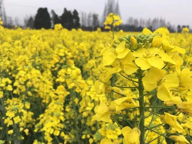 天氣轉(zhuǎn)暖周末問候短信