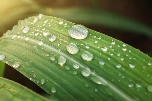 夏天雨后的短信問候