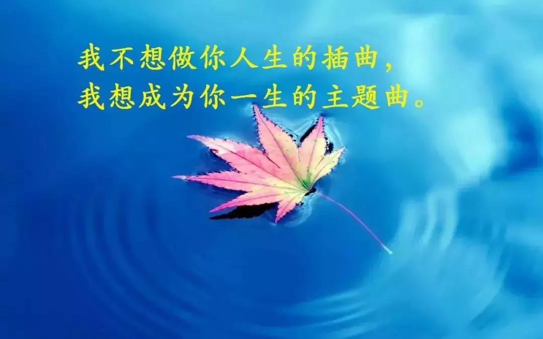 溫柔又暖的正能量句子