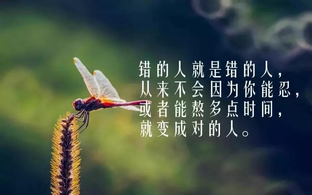 簡(jiǎn)短一句話心靈雞湯勵(lì)志句子