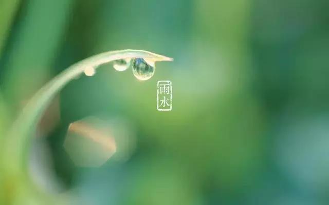 雨水祝福語(yǔ)