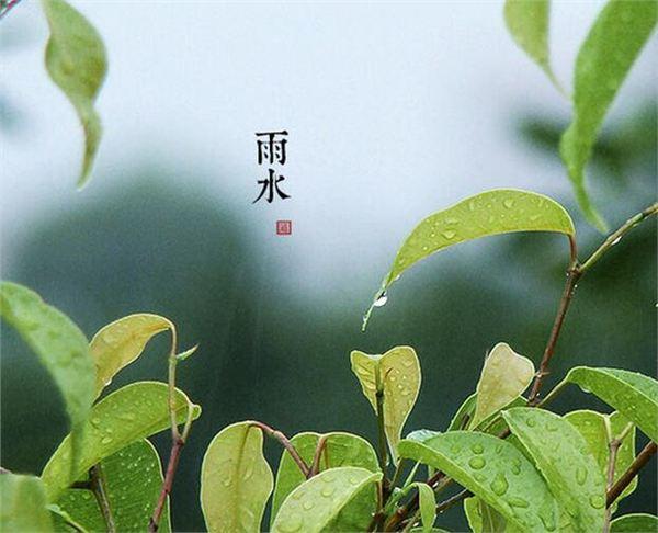 雨水節(jié)氣的朋友圈說說