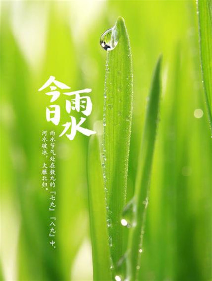 谷雨節(jié)氣的說說