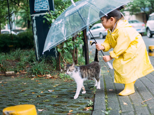 早上好下雨天的問(wèn)候短信