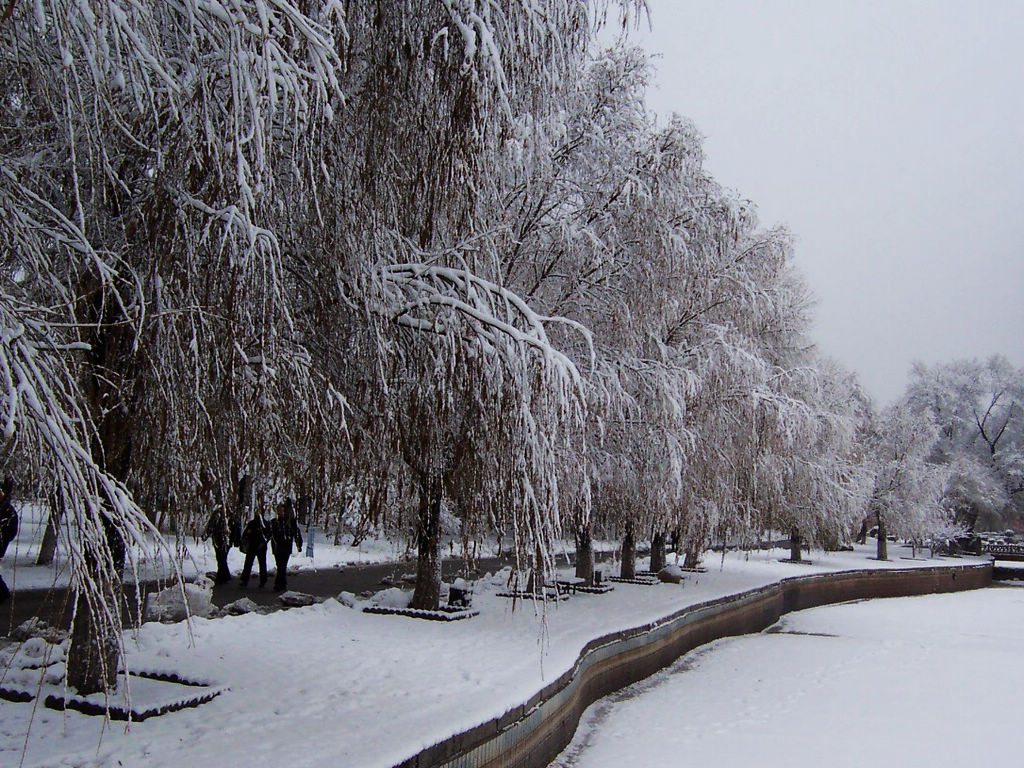 雨雪天客戶問候短信