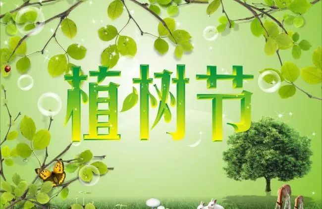 植樹(shù)節(jié)的宣傳標(biāo)語(yǔ)20字