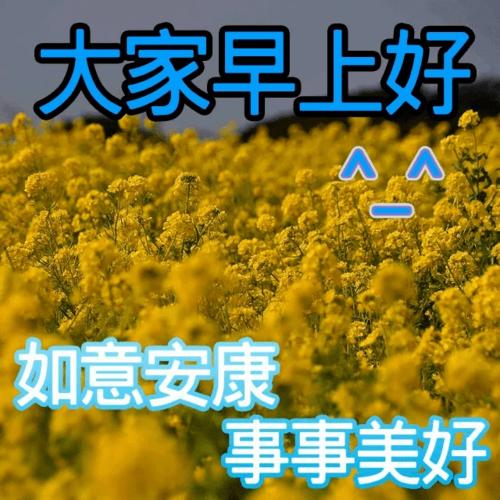 早上情感問(wèn)候短信大全