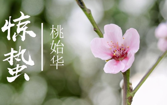 明日驚蟄祝福語(yǔ) 驚蟄節(jié)氣祝福語(yǔ)大全