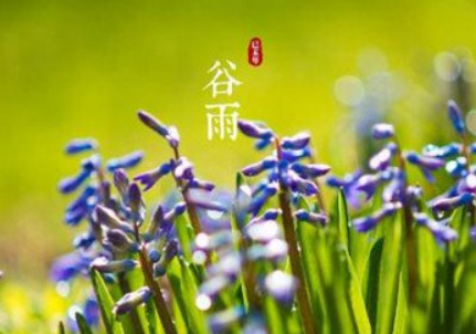 2024年谷雨簡(jiǎn)短祝福語