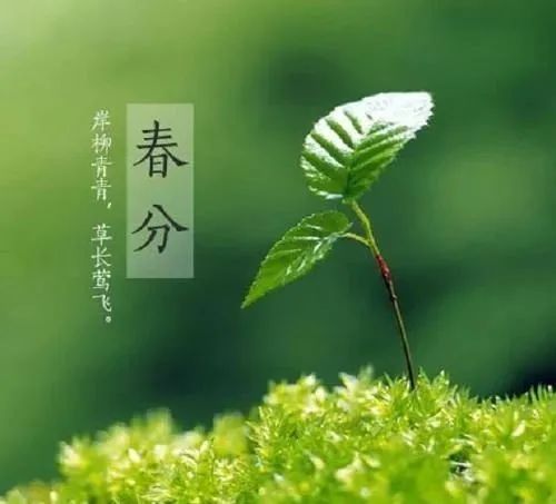 關(guān)于春分節(jié)氣的詩句