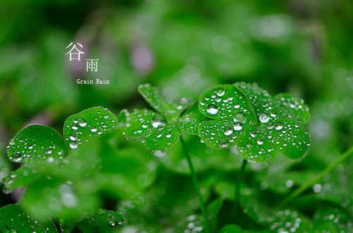 關(guān)于谷雨節(jié)氣的說說