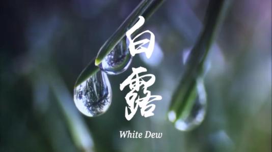 白露節(jié)氣的朋友圈說說