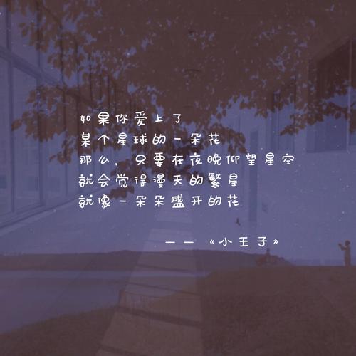 一個人深夜語錄大全