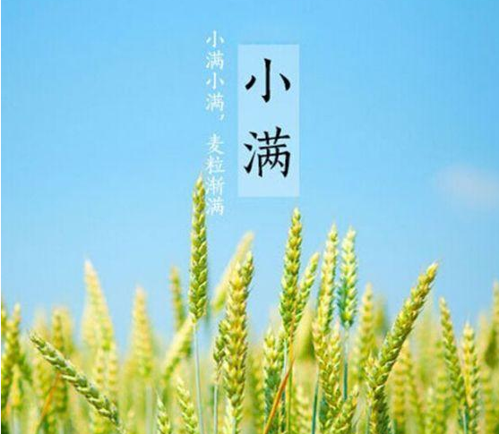 小滿(mǎn)的詩(shī)句