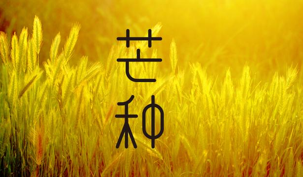 芒種節(jié)氣祝福語(yǔ)