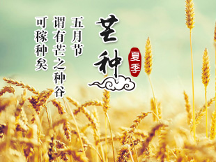 關(guān)于芒種的古詩(shī)10首